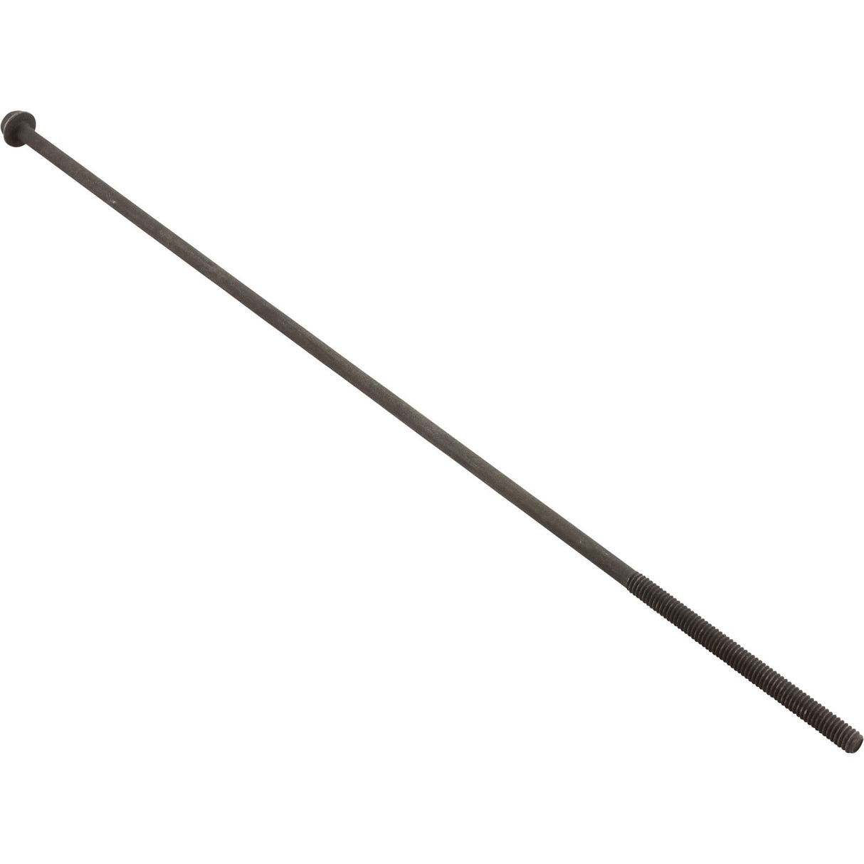 Thru Bolt, Motor, Generic, 8 - 32 x 9"Long x 2" thd : 16284857 - Century -  - All Pool Parts