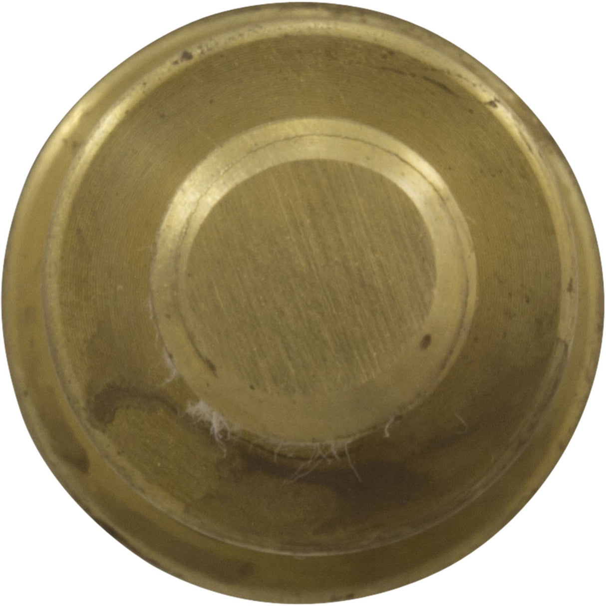 Pump Stub Shaft, Sta - Rite XL - 7 Series, Brass : V22 - 112 - Val - Pak - 811636021105 - All Pool Parts