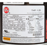 Motor, Nidec/US Motor, 0.75hp, 115/230v, 1 - Spd, 48Yfr, SQFL : ASQ125 - Nidec Motor Corp/US Motors -  - All Pool Parts