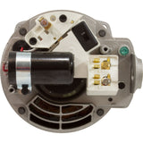 Motor, Nidec/US Motor, 0.75hp, 115/230v, 1 - Spd, 48Yfr, SQFL : ASQ125 - Nidec Motor Corp/US Motors -  - All Pool Parts