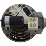Motor, Nidec/US Motor, 1.0hp, 115/230v, 48Yfr, SQFL : ASQ165 - Nidec Motor Corp/US Motors -  - All Pool Parts