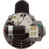 Motor, Nidec/US Motor, 2.0hp, 230v, 1 - Spd, 48Yfr, SQFL : ASQ260 - Nidec Motor Corp/US Motors -  - All Pool Parts
