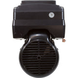 Motor, US Motor Neptune, 1.65thp, SQFL, Var - Spd, 115/230v, 48Y : NPTQ165 - Nidec Motor Corp/US Motors -  - All Pool Parts