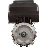 Motor, US Motor Neptune, 1.65thp, C - Face, Var - Spd, 115/230v, 48Y : NPTT165 - Nidec Motor Corp/US Motors -  - All Pool Parts
