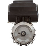Motor, US Motor Neptune, 2.7thp, C - Face, Var - Spd, 230v, 48Y : NPTT270 - Nidec Motor Corp/US Motors -  - All Pool Parts