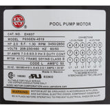 Motor, Nidec/USMtr, 2.0hp, 208 - 230/460v, 1 - Spd, 56Yfr, SQFL, Full : EH637 - Nidec Motor Corp/US Motors -  - All Pool Parts