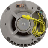 Motor, Nidec/USMtr, 2.0hp, 208 - 230/460v, 1 - Spd, 56Yfr, SQFL, Full : EH637 - Nidec Motor Corp/US Motors -  - All Pool Parts