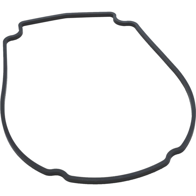 Gasket, Waterway Econo Flo/Champion, Faceplate : 806 - 1400 - Waterway - 806105429629 - All Pool Parts