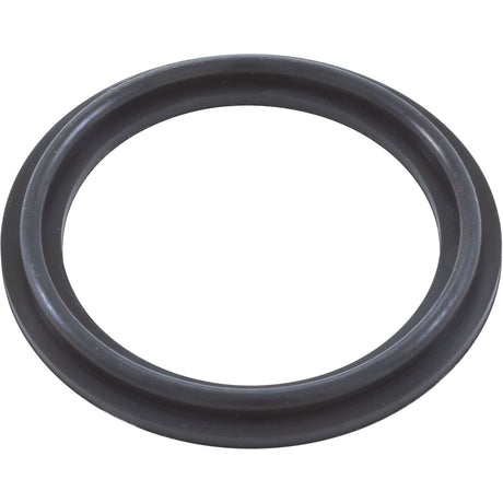 O - Ring/Gasket, Magic 2", Heater, Black : 0301229WSINGLE - Magic Plastics -  - All Pool Parts