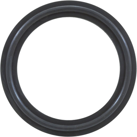 O - Ring/Gasket, Magic 2", Heater, Black : 0301229WSINGLE - Magic Plastics -  - All Pool Parts