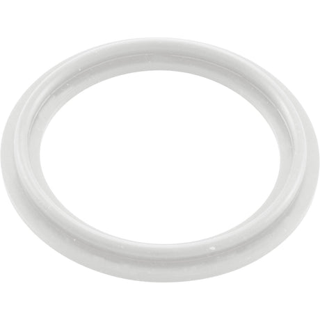 O - Ring/Gasket, Waterway 2", Heater : 711 - 4030 - Waterway Plastics - 806105124593 - All Pool Parts