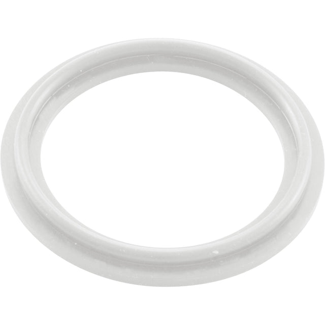 O - Ring/Gasket, Waterway 2", Heater : 711 - 4030 - Waterway Plastics - 806105124593 - All Pool Parts
