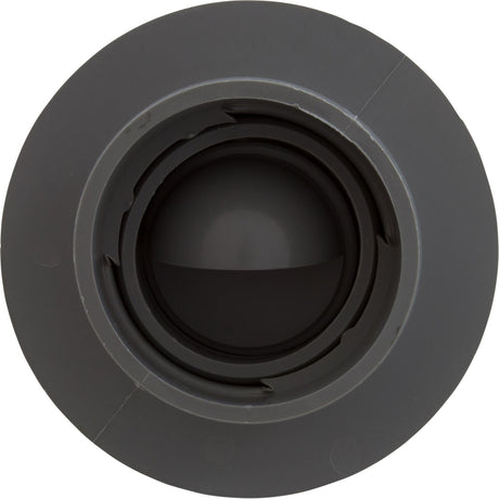 Aussie Insider (2In, Sa) 1.25In Eye, Gray : 25559 - 201 - 000 - Custom Molded Products - 849640012659 - All Pool Parts