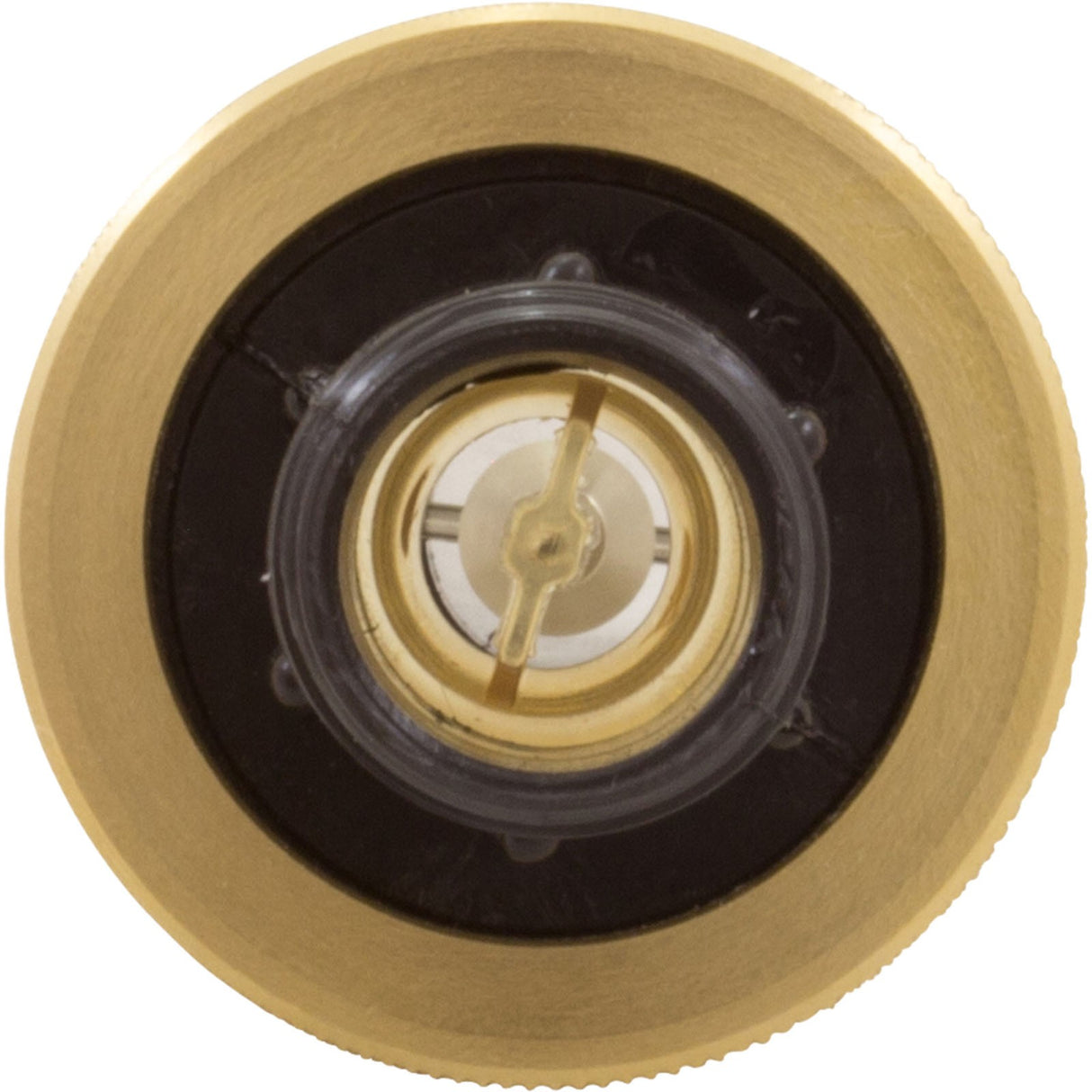 Flow Meter, Pentair, 2 - 16 gpm, 3/4" Nylon Thd End, Small Body : LDF359N - Pentair - 788379505882 - All Pool Parts