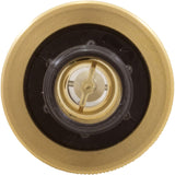 Flow Meter, Pentair, 2 - 16 gpm, 3/4" Nylon Thd End, Small Body : LDF359N - Pentair - 788379505882 - All Pool Parts