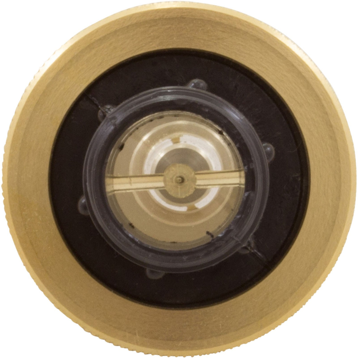 Flow Meter, Pentair, 2 - 16 gpm, 3/4" Nylon Thd End, Small Body : LDF359N - Pentair - 788379505882 - All Pool Parts