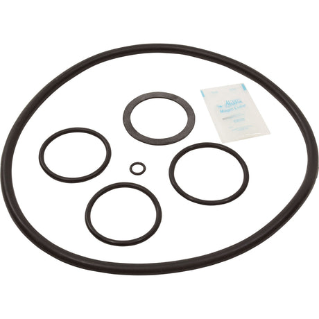 Ro - Kit 265, Pac - Fab Mitra S.S. Filter : RO - KIT 265 - Aladdin - 601402123085 - All Pool Parts