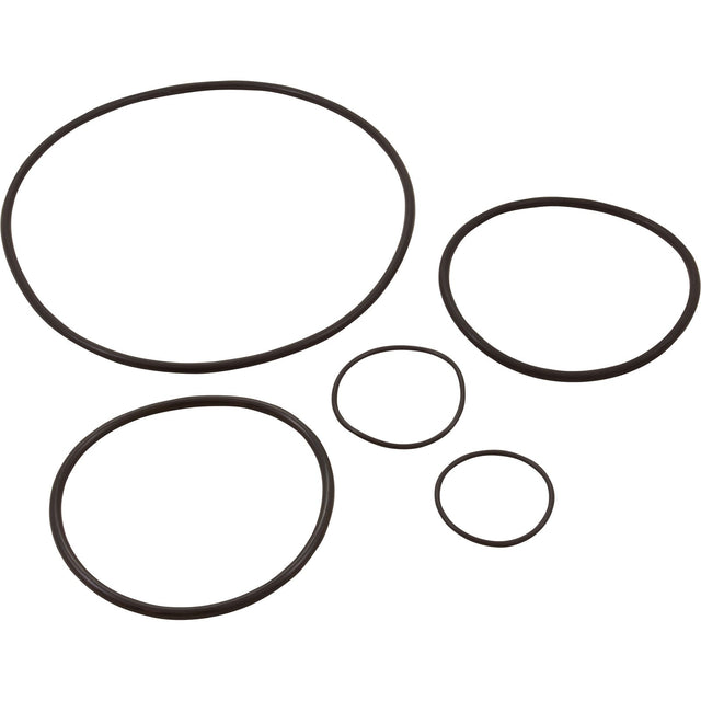 Pump O - Ring Kit, Generic Challenger Pump : - Generic - 810379030382 - All Pool Parts
