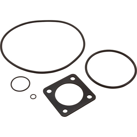 Pump O - Ring Kit, Generic Sta - Rite Dura/Max - E - Glas : - Generic - 810379030818 - All Pool Parts