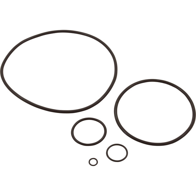 Pump O - Ring Kit, Generic Sta - Rite Dura/Max - E - Glas II : - Generic - 810379031655 - All Pool Parts