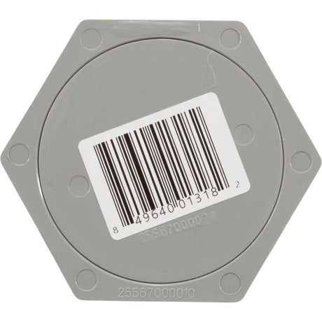 Rope Anchor (Plastic Pin) Gray : 25567 - 001 - 000 - Custom Molded Products - 849640013182 - All Pool Parts