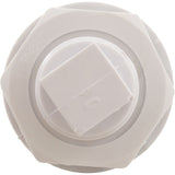 Cycolac Eyebolt Assembly with Winterizing Plug : SP0404 - Hayward - 610377041669 - All Pool Parts