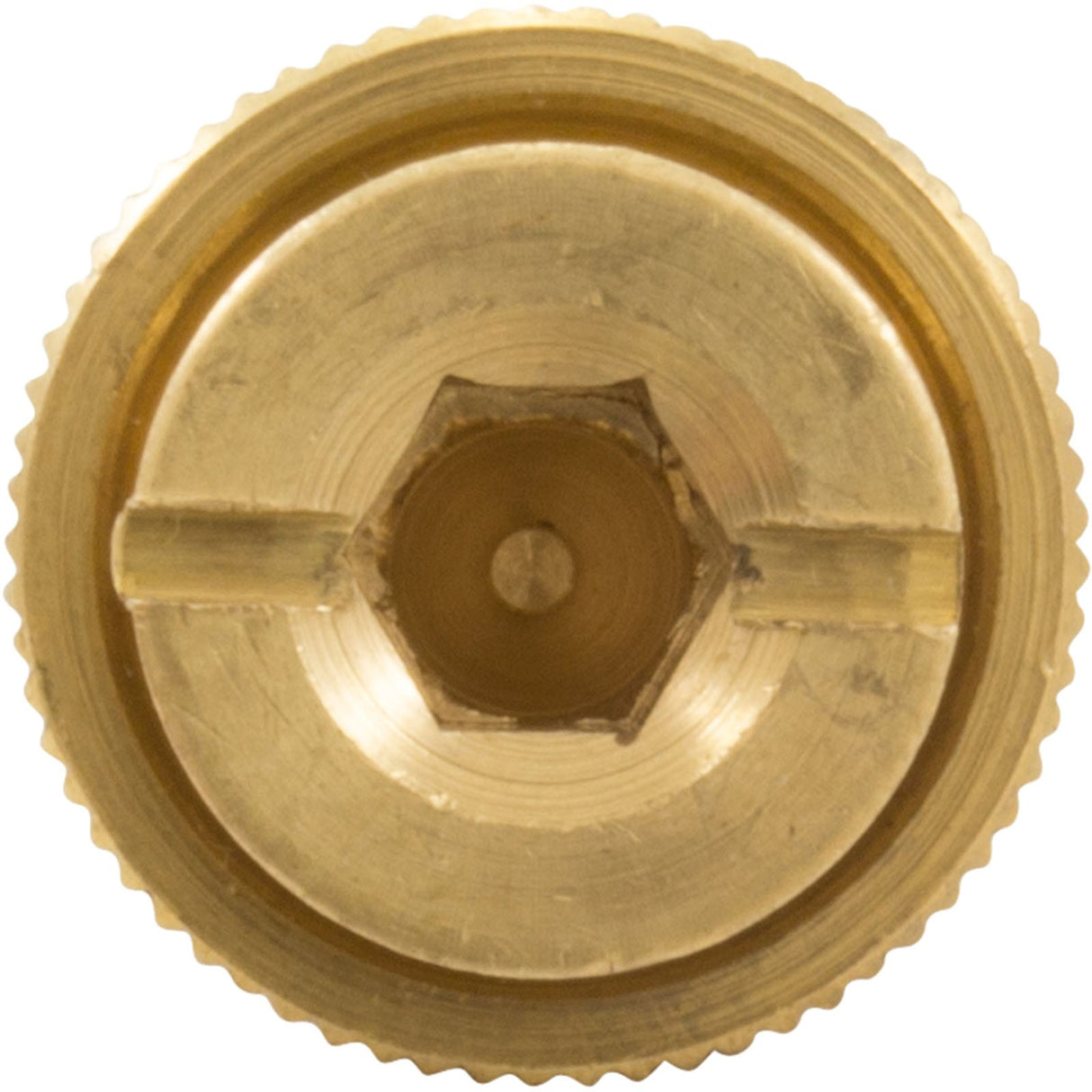 Brass Anchor, GLI, Safety Cover, 1.5"L, 3/4"Hole Size, 13/16"dia : 99 - 20 - 9100003 - GLI Pool Products - 712910044011 - All Pool Parts