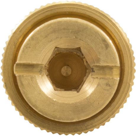 Brass Anchor, GLI, Safety Cover, 1.5"L, 3/4"Hole Size, 13/16"dia : 99 - 20 - 9100003 - GLI Pool Products - 712910044011 - All Pool Parts