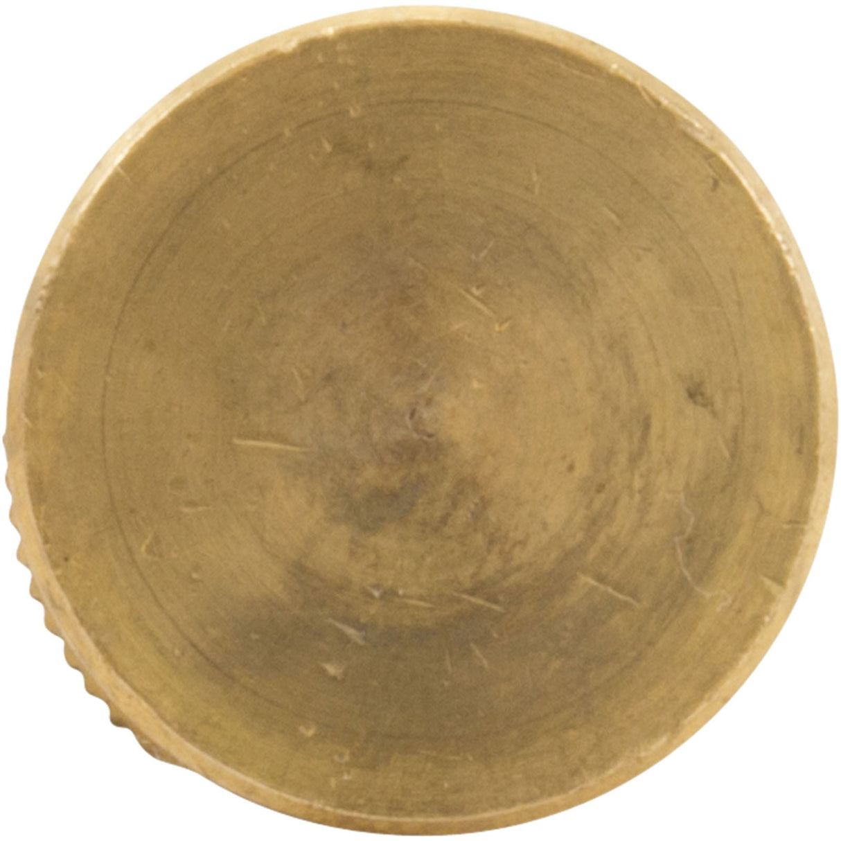 Brass Anchor, GLI, Safety Cover, 1.5"L, 3/4"Hole Size, 13/16"dia : 99 - 20 - 9100003 - GLI Pool Products - 712910044011 - All Pool Parts