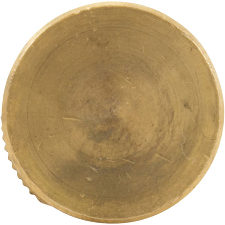 Brass Anchor, GLI, Safety Cover, 1.5"L, 3/4"Hole Size, 13/16"dia : 99 - 20 - 9100003 - GLI Pool Products - 712910044011 - All Pool Parts