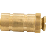 Brass Anchor, GLI, Safety Cover, 1.5"L, 3/4"Hole Size, 13/16"dia : 99 - 20 - 9100003 - GLI Pool Products - 712910044011 - All Pool Parts