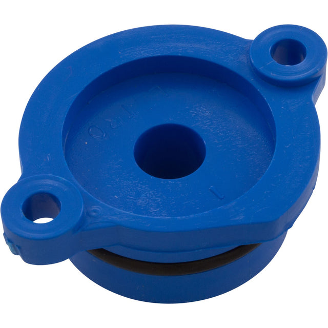 Bearing, Pentair L79BL Cleaner, Lower, with O - Ring : LG30B - Letro/Pentair - 807318007413 - All Pool Parts