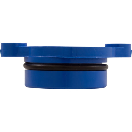 Bearing, Pentair L79BL Cleaner, Lower, with O - Ring : LG30B - Letro/Pentair - 807318007413 - All Pool Parts