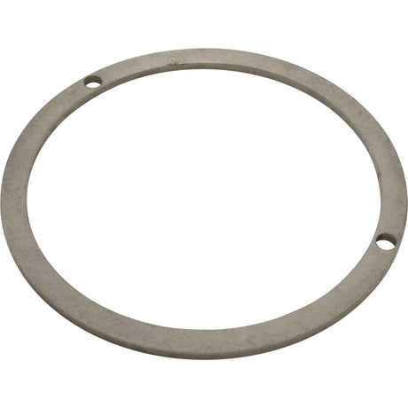 Diffuser Lockring, Speck Model 98 : 2921417480 - Speck Pumps -  - All Pool Parts