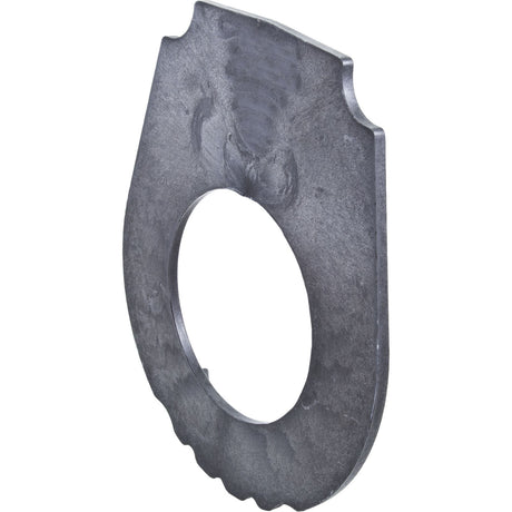 Seal Plate, Waterway Champion : 319 - 1420 - Waterway Plastics - 806105241313 - All Pool Parts