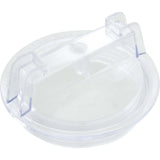 Trap Lid, Val - Pak AquaFlo Dominator, Post 2010 : V26 - 361 - Val - Pak - 811636021303 - All Pool Parts