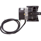 Pump, Circ, Laing E - 10, 115v, 3/4"b, 4ft Bare Cord, OEM : 6050U0015 - Laing/Xylem - 733886502008 - All Pool Parts
