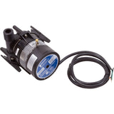 Pump, Circ, Laing E - 10, 115v, 3/4"mpt, 4ft Bare Cord, OEM : 6050U0013 - Laing/Xylem - 733886502114 - All Pool Parts